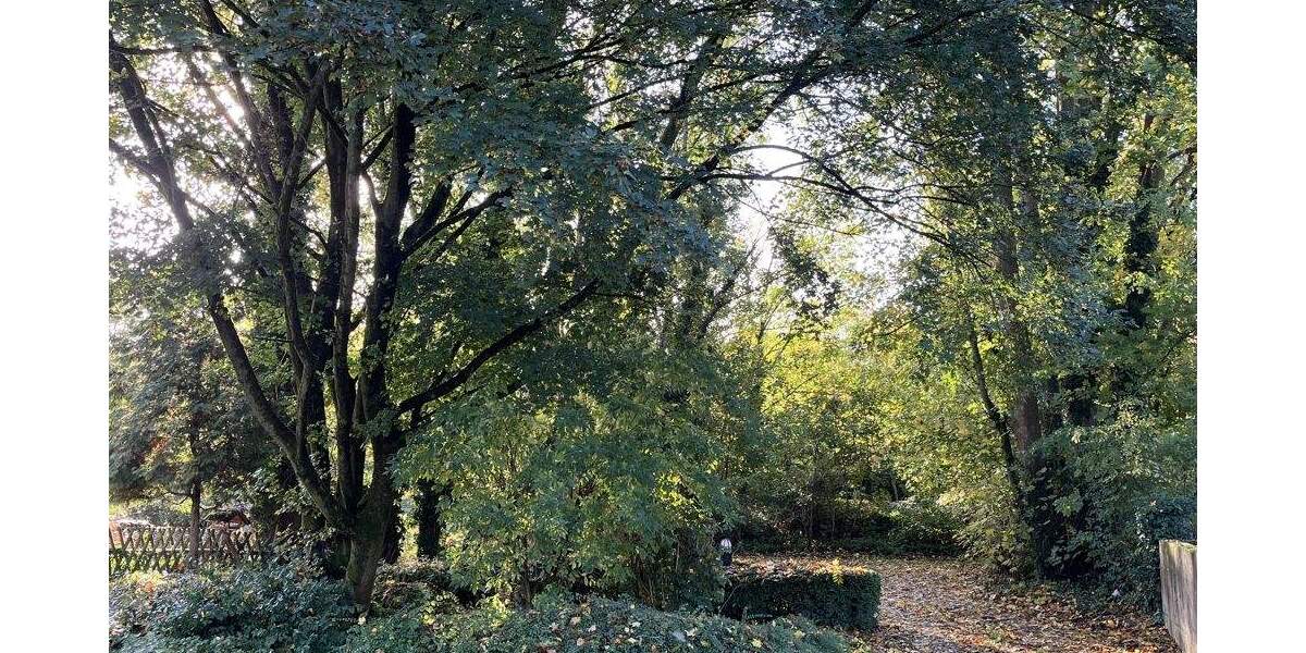 Mehrfamilienhaus, Wohnhaus Mönchengladbach Venn - 925.000&euro; | Angebot:25665591