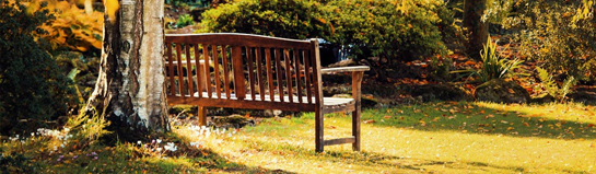 Waldpark Willich Restaurant Life Natur Erholung Niederrhein