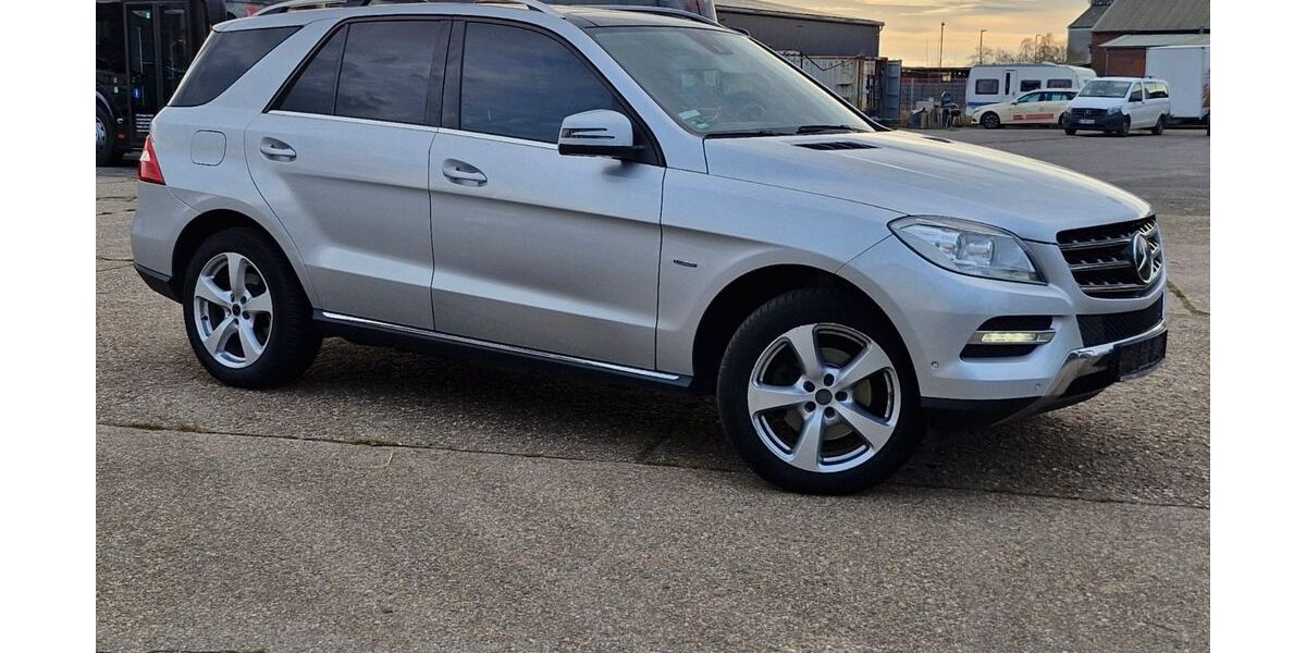 Mercedes-Benz ML 250 284.339 km 11.000 &euro; Titz 52445