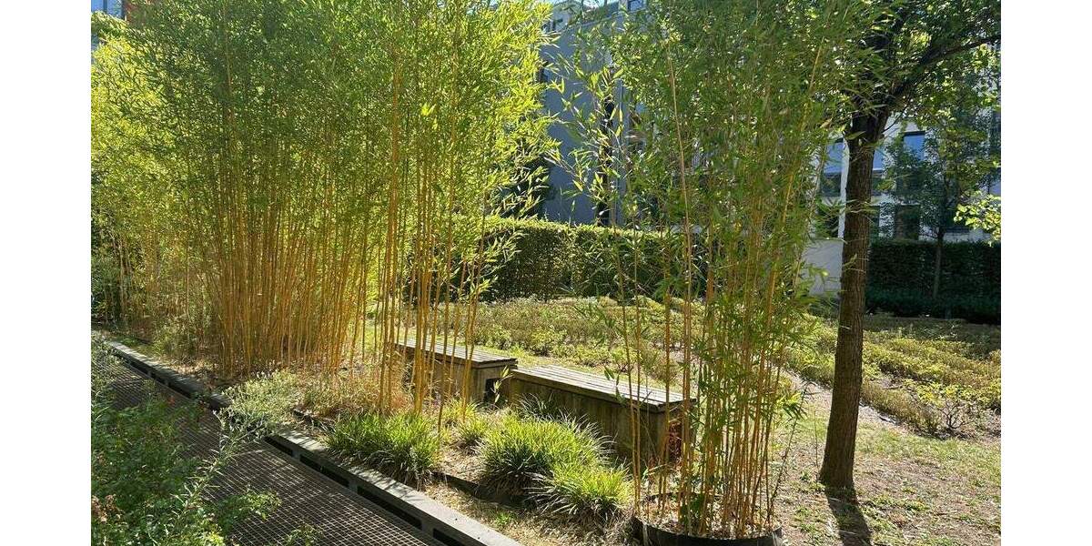 Etagenwohnung Düsseldorf Pempelfort - 2 Zimmer, 58 m&sup2;, 440.000&euro; | Angebot:25738429