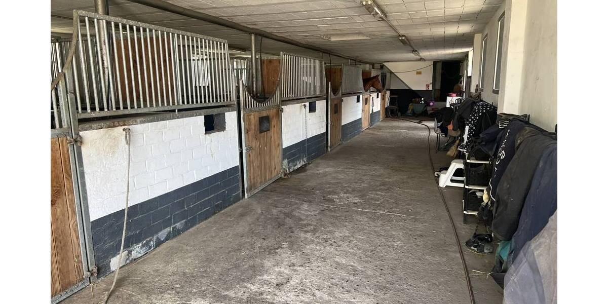 Einfamilienhaus Mönchengladbach Herdt - 5 Zimmer, 160 m&sup2;, 995.000&euro; | Angebot:25678137