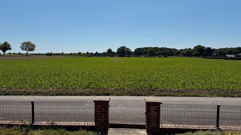 Einfamilienhaus Niederkrüchten - 7 Zimmer, 164 m&sup2;, 320.000&euro; | Angebot:27080107