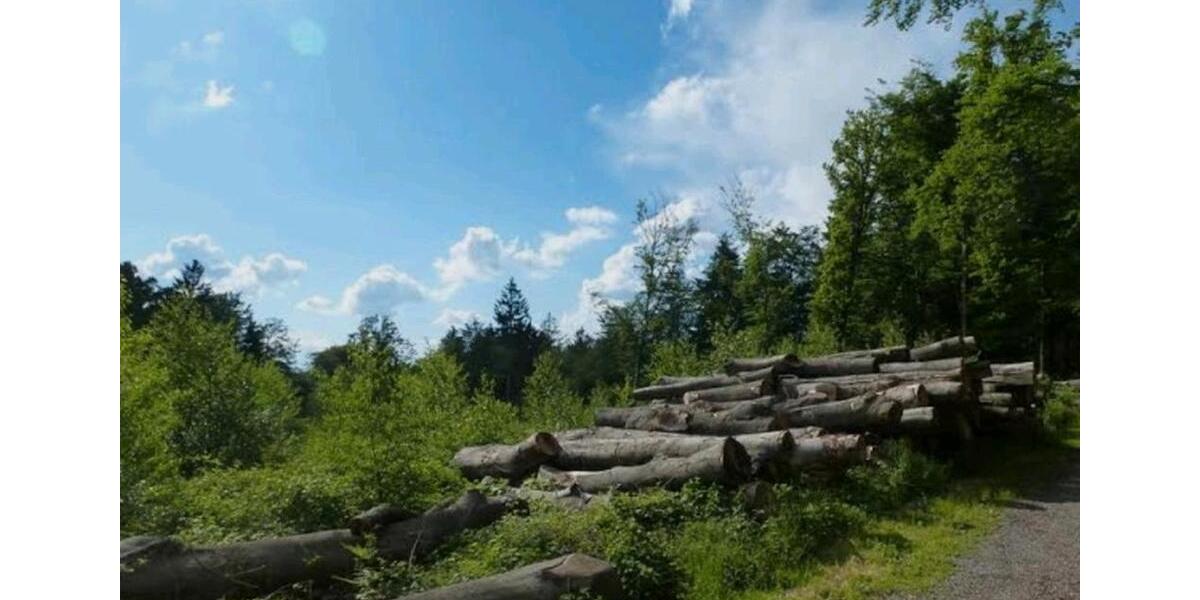 Erdgeschoßwohnung Duisburg Duisburg-Mitte - 3 Zimmer, 69 m&sup2;, 167.000&euro; | Angebot:24853932