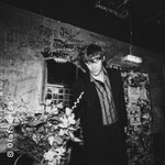 Ansa Sauermann - Solo