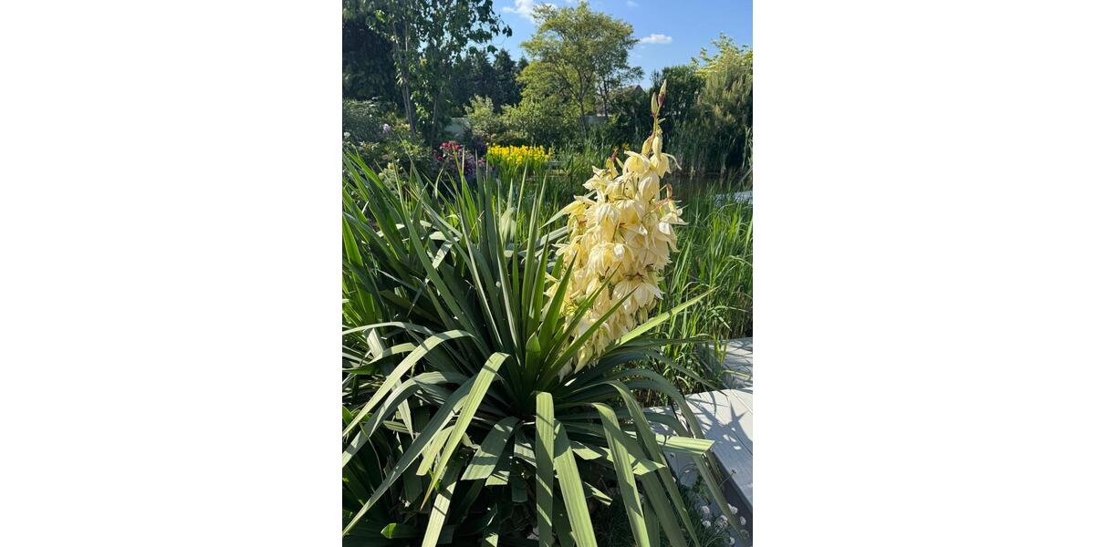 Bungalow Nettetal - 4 Zimmer, 130 m&sup2;, 580.000&euro; | Angebot:24361045