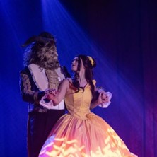 Magical Moments - Das Musical Dinner 27.11.2026 Seerosensaal Lobberich