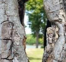 Etagenwohnung Düsseldorf Rath - 3 Zimmer, 92 m&sup2;, 1.250&euro; | Angebot:25774706