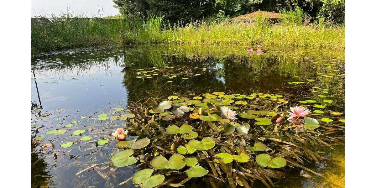 Bauernhaus, Landhaus Moers Vinn - 5 Zimmer, 244 m&sup2;, 749.000&euro; | Angebot:26037086