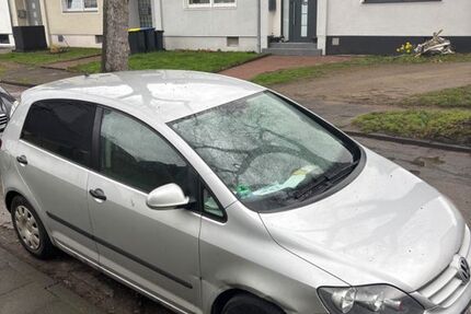 VW Golf Plus 275.174 km 1.500 &euro; Duisburg 47167