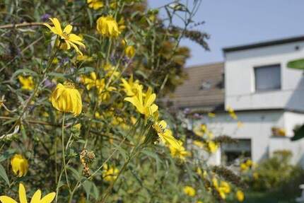 Haus Düsseldorf Urdenbach - 4 Zimmer, 145 m&sup2;, 325.000&euro; | Angebot:25837321