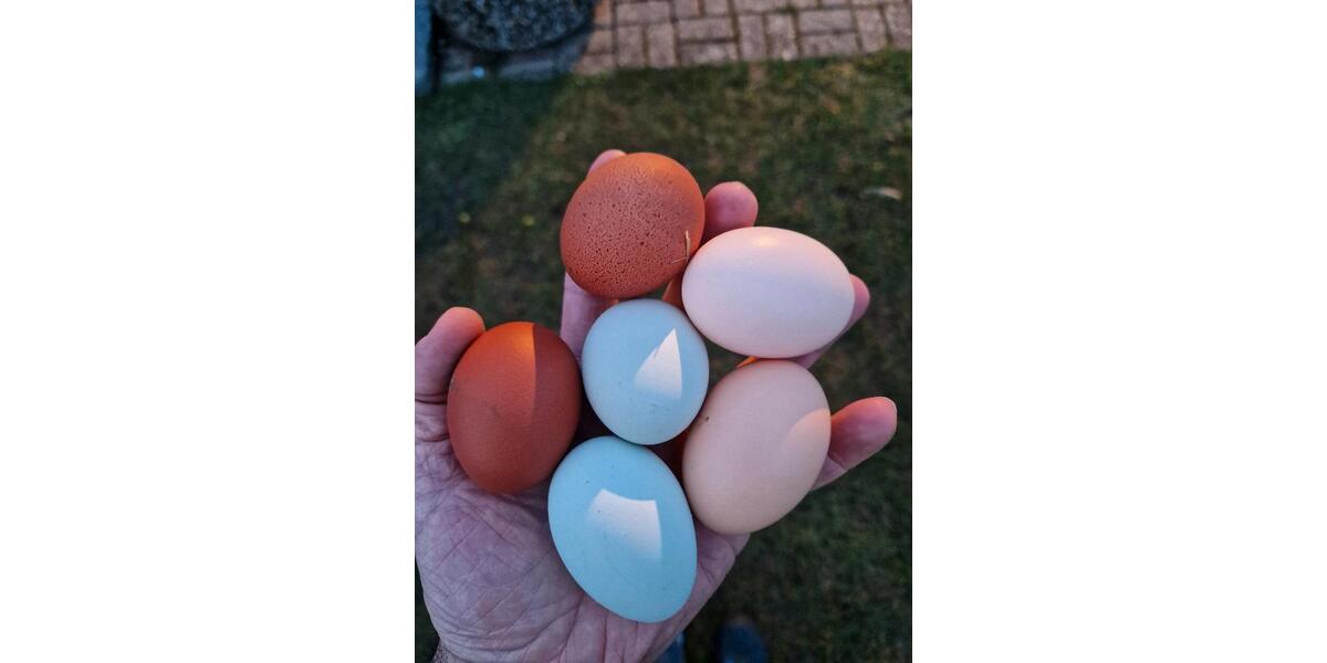 Reihenhaus Wegberg - 4 Zimmer, 120 m&sup2;, 300.000&euro; | Angebot:25632987