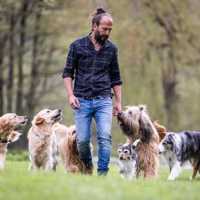 Sami El Ayachi - Der zugewandte Hund! 12.03.2027 Theater im Gründungshaus