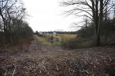 PERFEKT FÜR SOLAR & WINDPARK - Grundstück Duisburg Ruhrort | Angebot:26029699