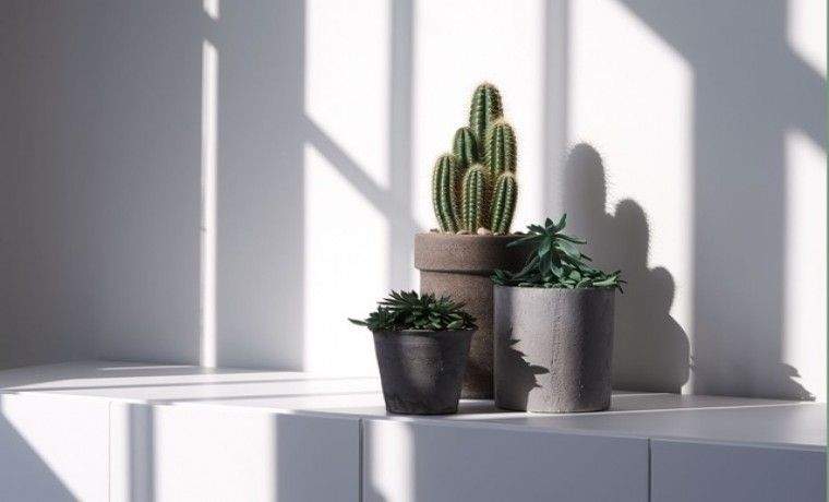 Gewerbeobjekt Düsseldorf Lierenfeld - 350&euro; | Angebot:25798048