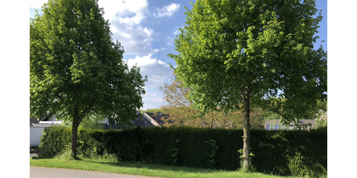 Grundstück Brüggen - 129.000&euro; | Angebot:25733990