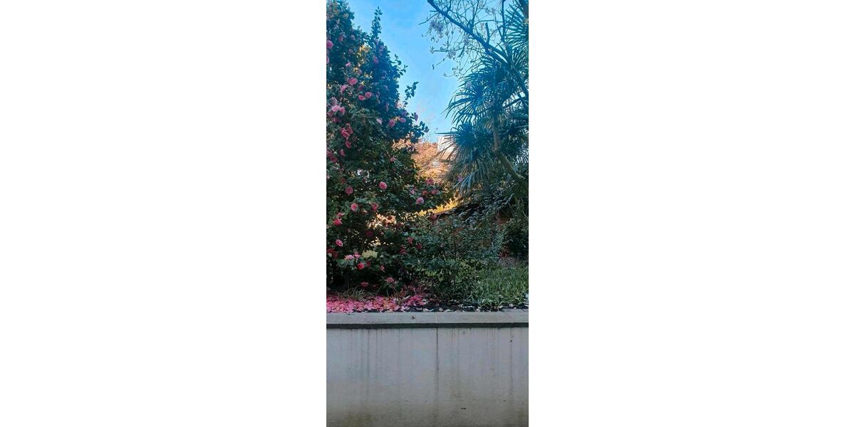 Gewerbeobjekt Düsseldorf Stadtbezirk 5 - 400&euro; | Angebot:25993716