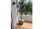 Etagenwohnung Düsseldorf Stadtbezirk 5 - 1 Zimmer, 40 m&sup2;, 295.000&euro; | Angebot:26940699