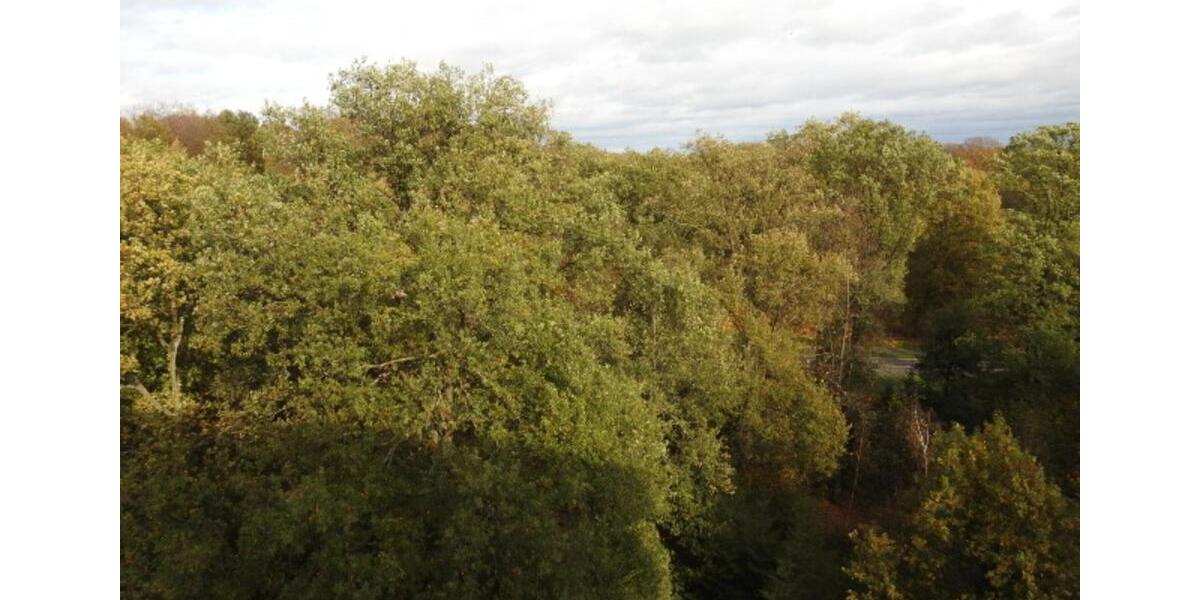 Etagenwohnung Wegberg - 1 Zimmer, 360&euro; | Angebot:22593361