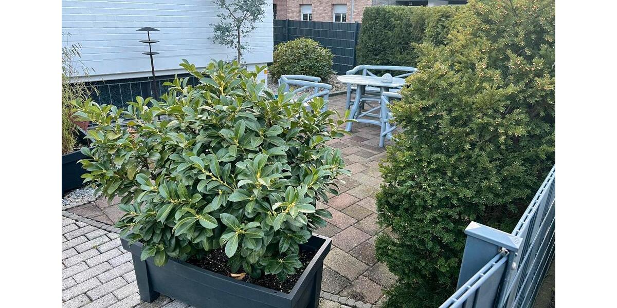 Erdgeschoßwohnung Mönchengladbach Nord - 3 Zimmer, 98 m&sup2;, 299.000&euro; | Angebot:26001594