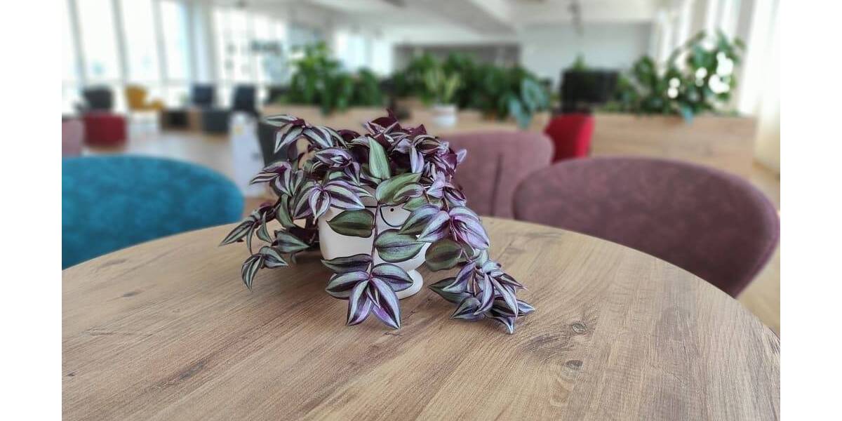 Gewerbeobjekt Neuss Grimlinghausen - 1.200&euro; | Angebot:26060316