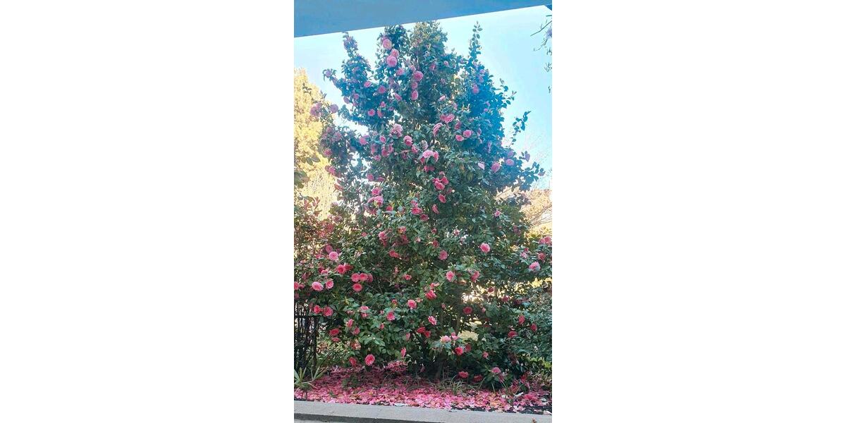 Gewerbeobjekt Düsseldorf Stadtbezirk 5 - 400&euro; | Angebot:25993716