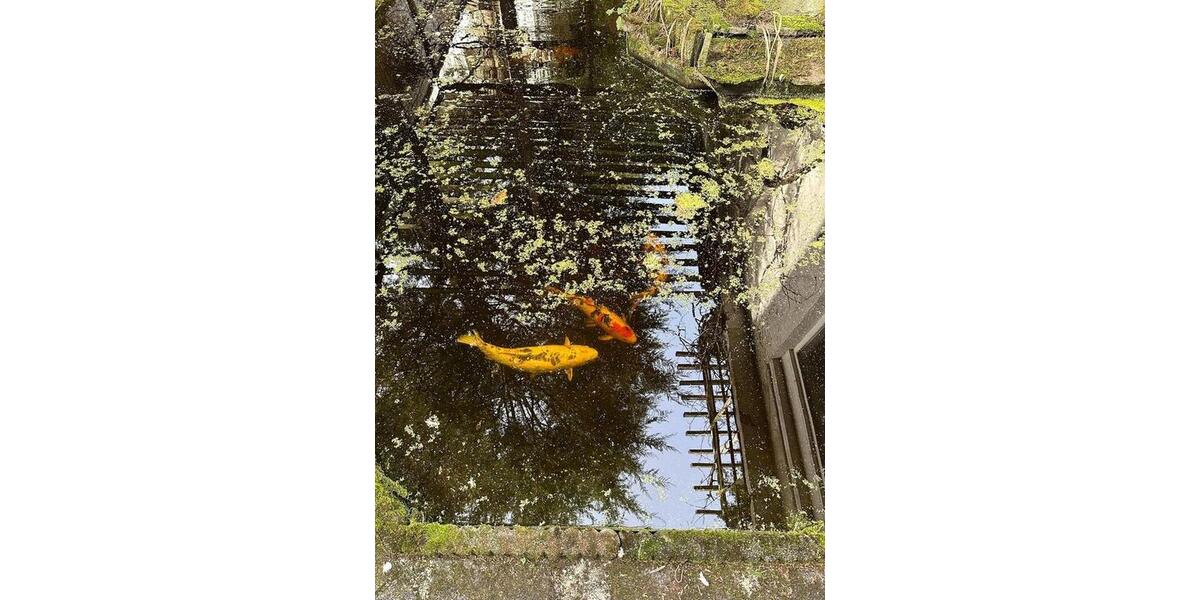 Gewerbeobjekt Düsseldorf Stadtbezirk 3 - 2.800&euro; | Angebot:25309915