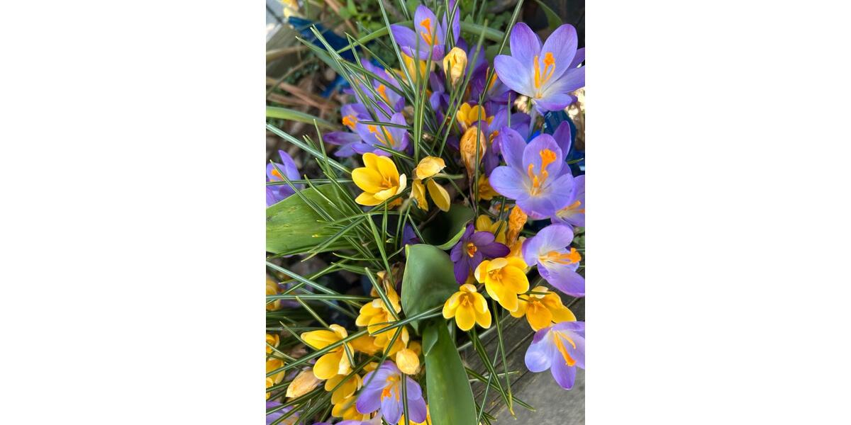 Gewerbeobjekt Duisburg Ruhrort - 1.500&euro; | Angebot:26029127