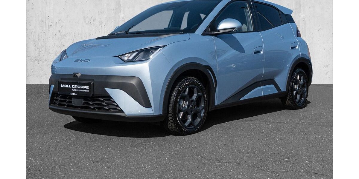 BYD DOLPHIN 5.000 km 22.450 &euro; Düsseldorf 40474