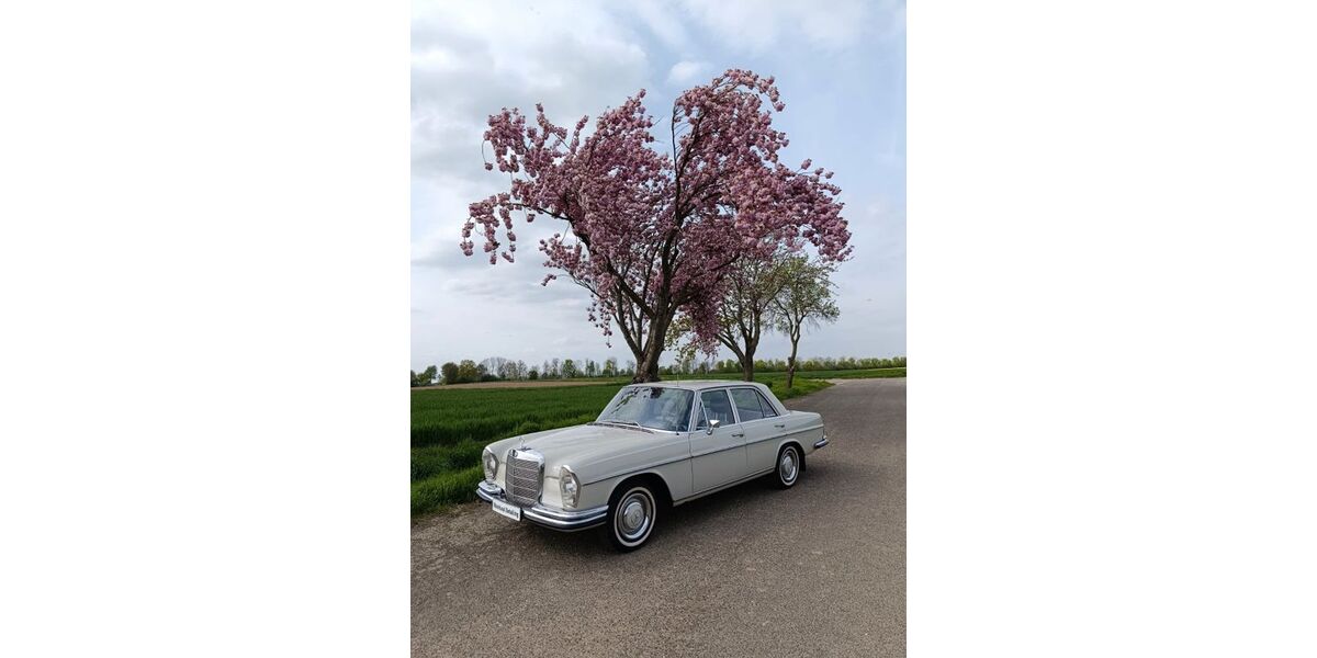 Mercedes-Benz 250 122.250 km 28.500 &euro; Titz 52445