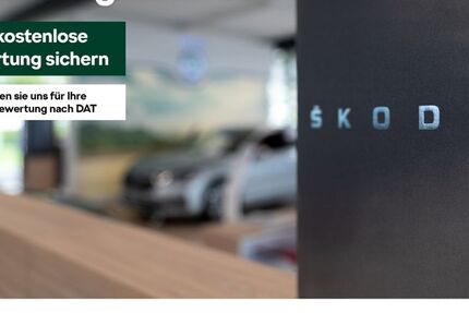 Skoda Octavia 20.672 km 36.978 &euro; Krefeld 47809