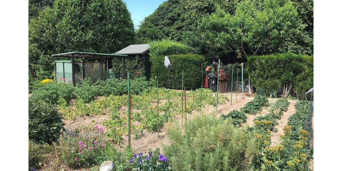 Reihenendhaus Wickrath Wickrath-Mitte - 4 Zimmer, 98 m&sup2;, 340.000&euro; | Angebot:25728341