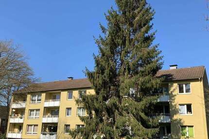 Wohnung Krefeld Fischeln - 2 Zimmer, 56 m&sup2;, 539&euro; | Angebot:26688349