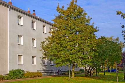 Wohnung Duisburg Huckingen - 2 Zimmer, 41 m&sup2;, 409&euro; | Angebot:25915603