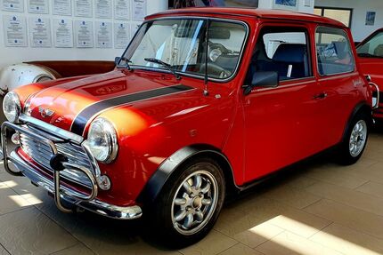 Mini 1000 29.547 km 13.910 &euro; Wachtendonk 47669