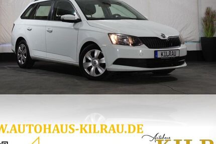 Skoda Fabia 130.000 km 8.899 &euro; Mettmann 40822