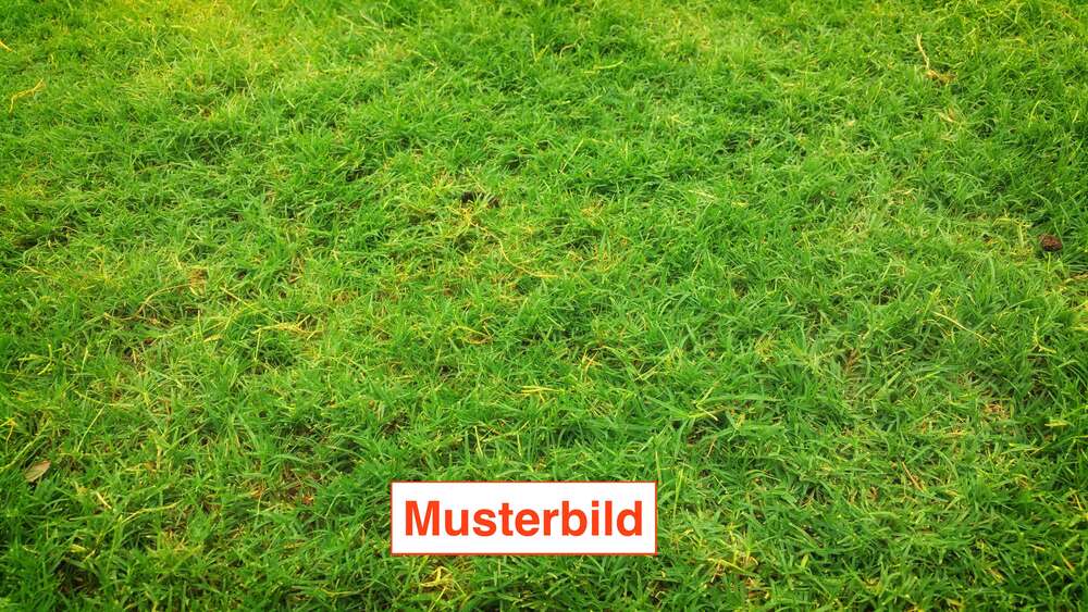 Grundstück Krefeld Fischeln - 610.000&euro; | Angebot:26065700