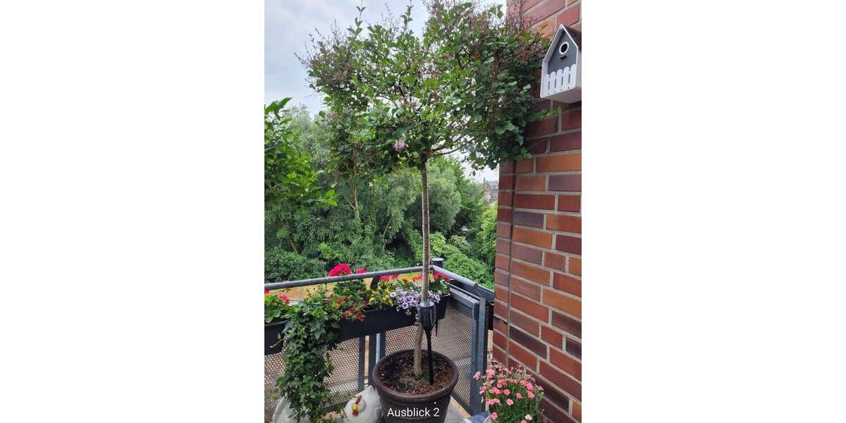 Etagenwohnung Mönchengladbach Rheydt - 3 Zimmer, 93 m&sup2;, 253.000&euro; | Angebot:25728346