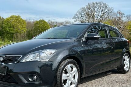 Kia ceed / Ceed 125.166 km 3.990 &euro; Neukirchen-Vluyn 47506