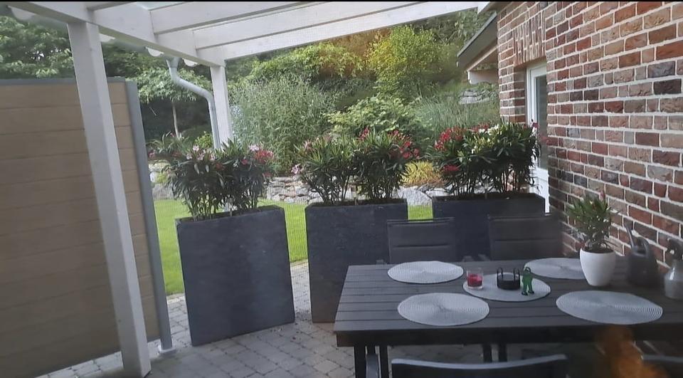 Erdgeschoßwohnung Straelen - 1 Zimmer, 60 m&sup2;, 700&euro; | Angebot:26013828